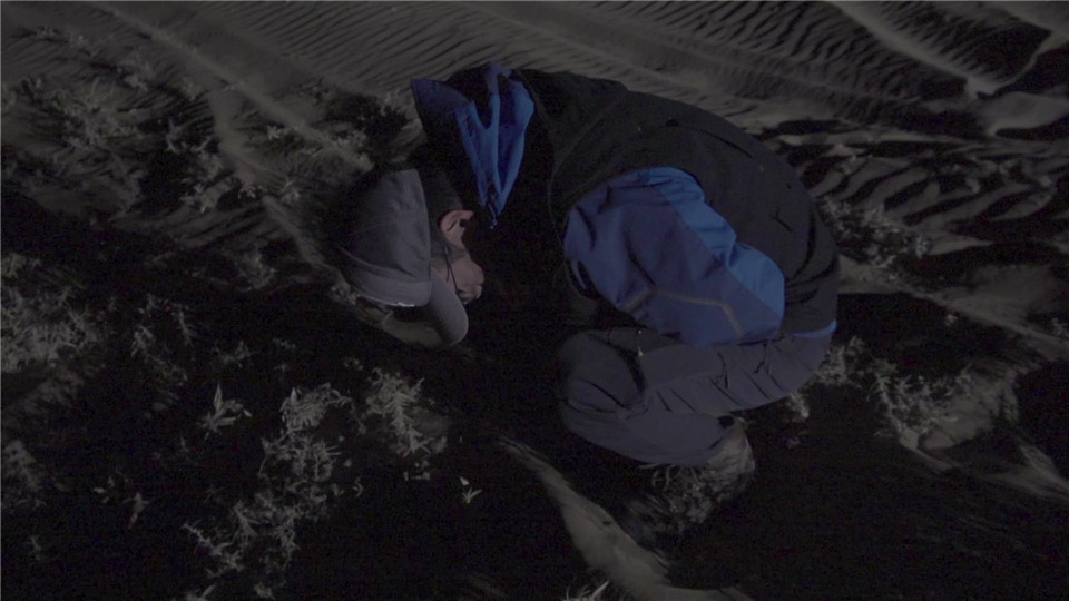 昂热补时阶段绝杀到手,惊险取胜逃离降级区泥潭  昂热补时阶段绝杀到手,惊险取胜逃离降级区泥潭